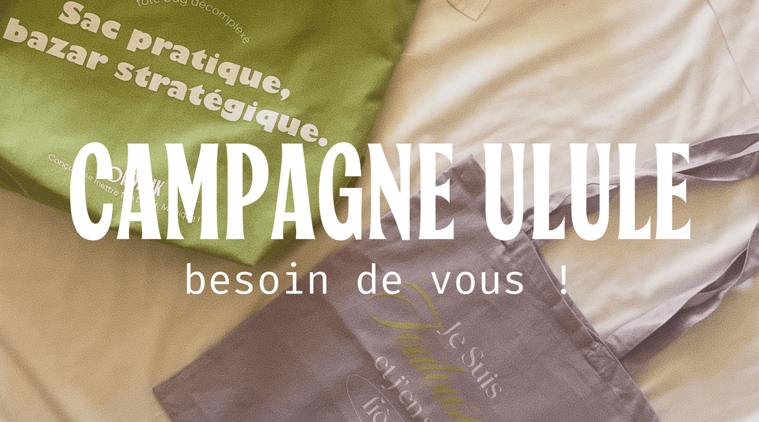 Bordelik lance sa première campagne Ulule !